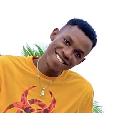Paradise CEO